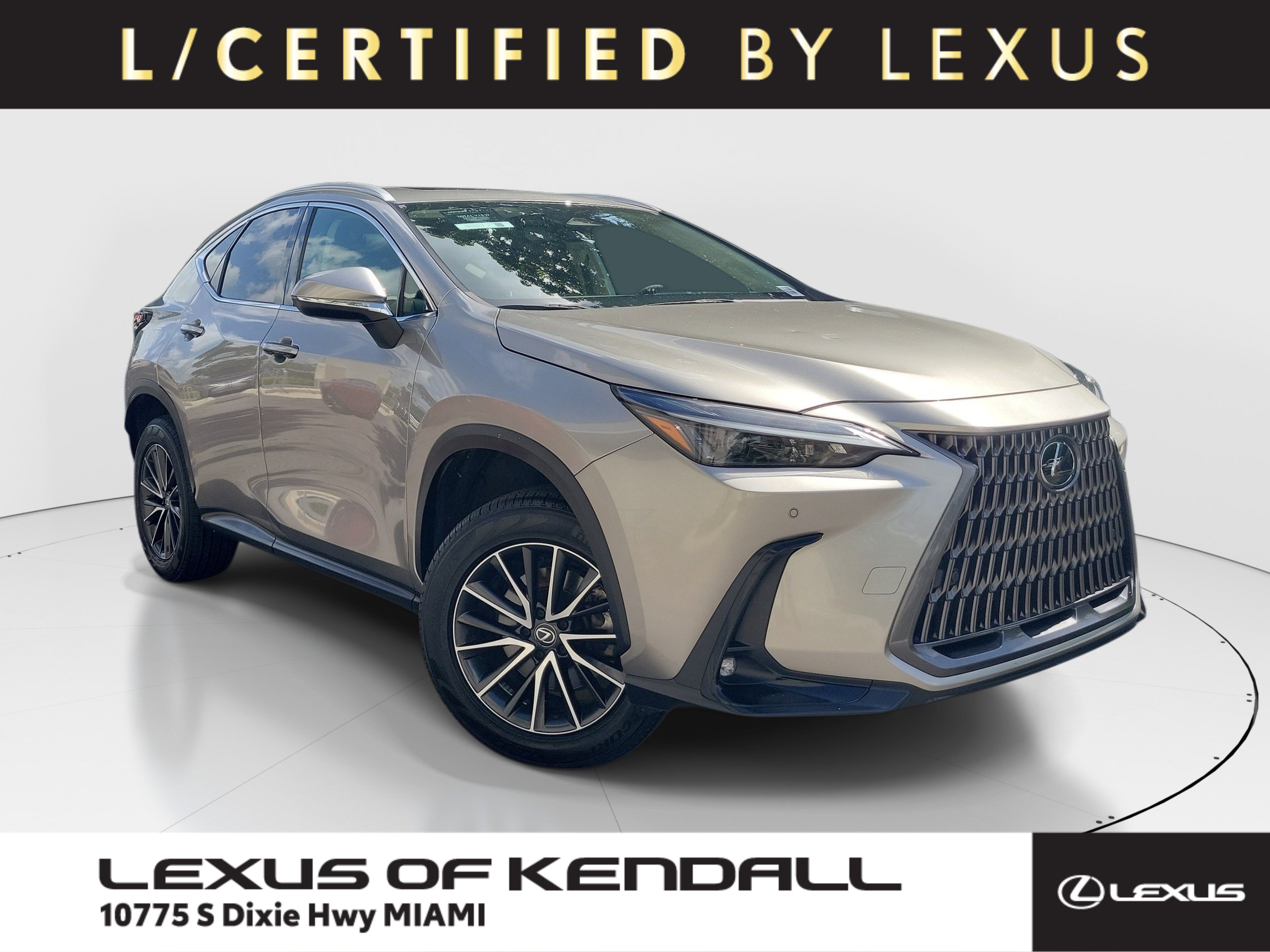 2024 Lexus NX 250